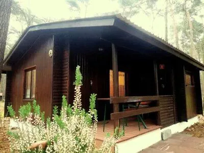 Aura Grotniki Holiday park