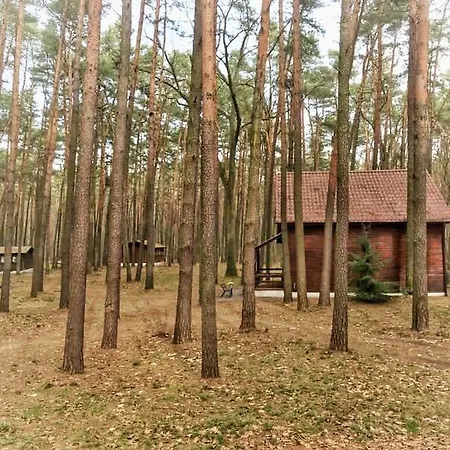 Holiday park Aura Grotniki Grotniki (Zgierz)