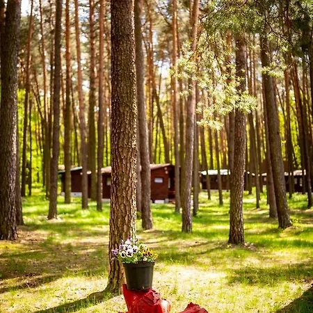 Holiday park Aura Grotniki
